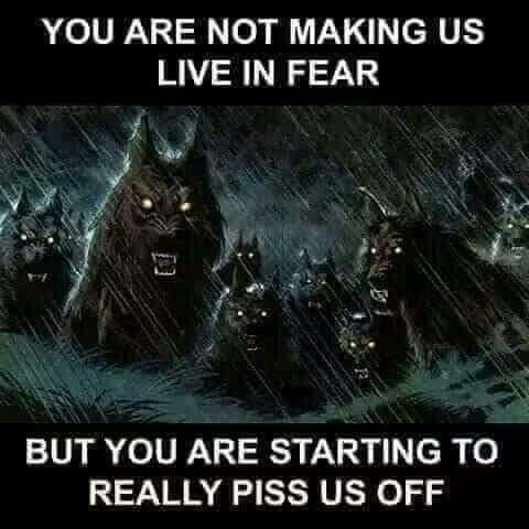 dcaf07338e9dc8a66263e54476d266ff_1024