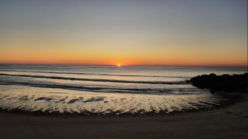 inbound2414497225396467585