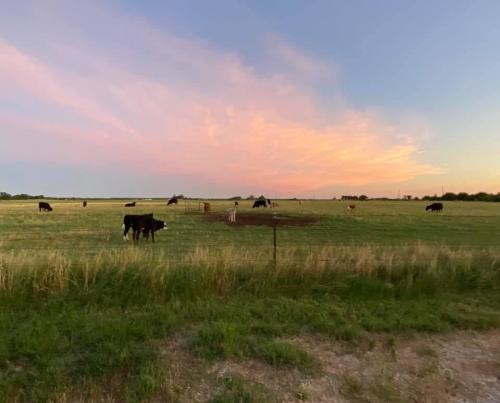 587db4c89369727b9034d3a8b5dad856