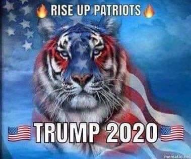 Rise Up Patriots