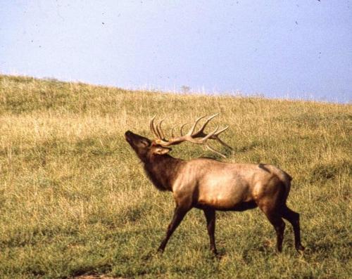 FB_IMG_1569354342044