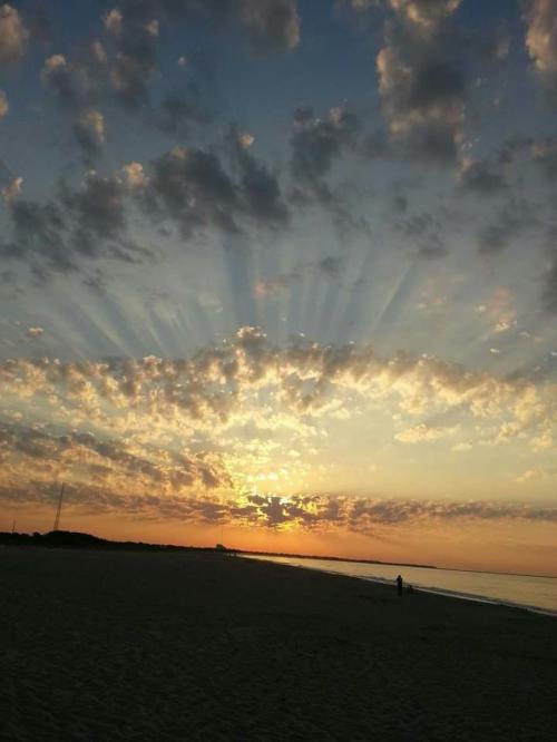 result_1597922498051