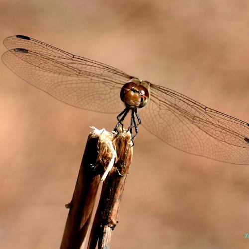 IMG_20200913_182524_069