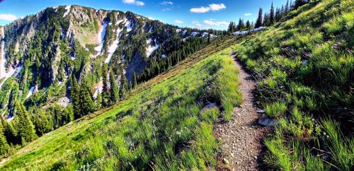 01EE37D7X06YHG2QQSH4DARYR0