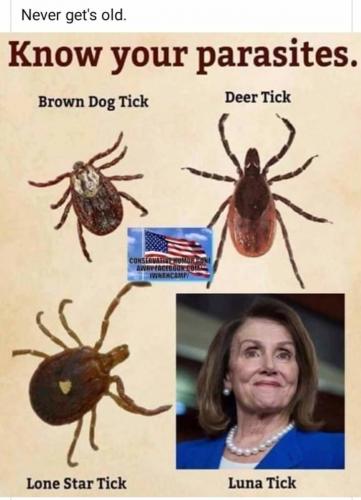 202009020547-1654f2ba86f525a7