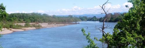 WoodsonBridgeEst copy 3