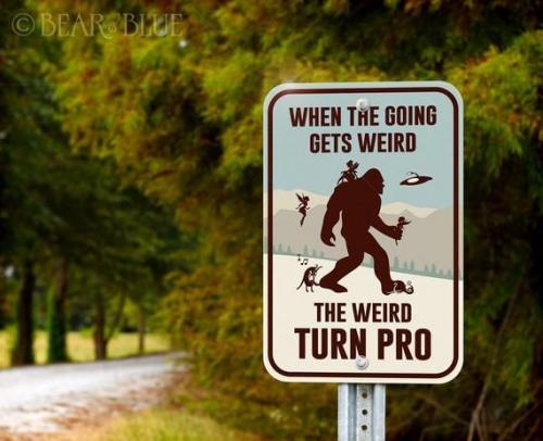 whe the going get weird--bigfoot