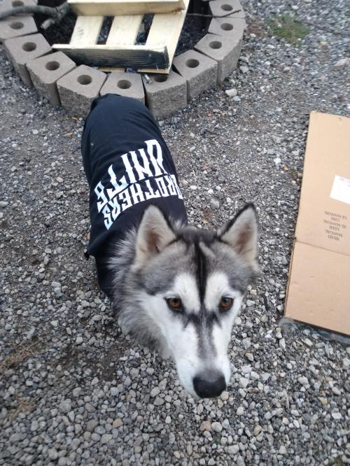 IMG_20200914_192647727_MP