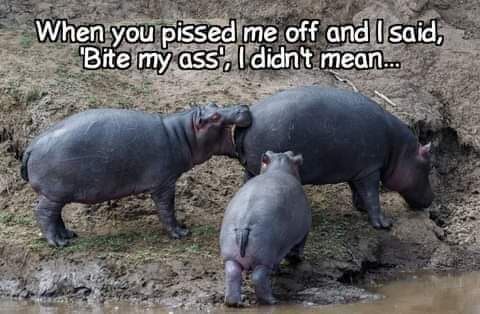 FB_IMG_1600864265078