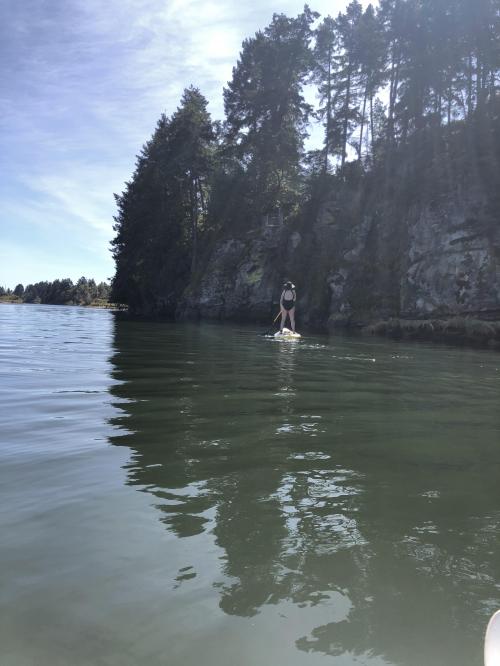 6E2DFBD2-6081-4E18-9637-9953787A4607