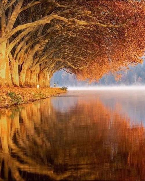 FB_IMG_1600695700067