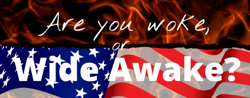 Are you woke_ (1) crop