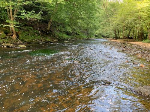 received_362031071491404