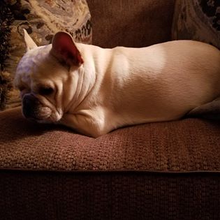 Mama Maggie in her favorite chair