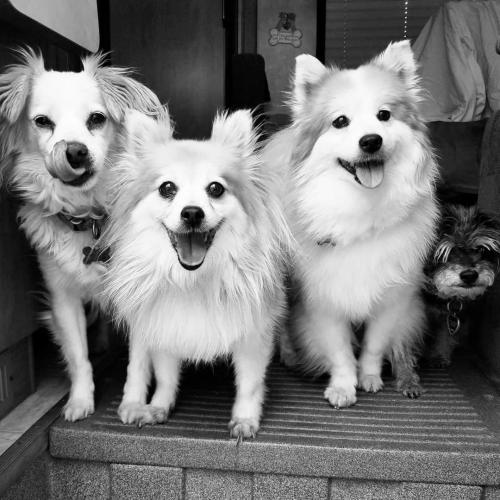 FB_IMG_1589342301009