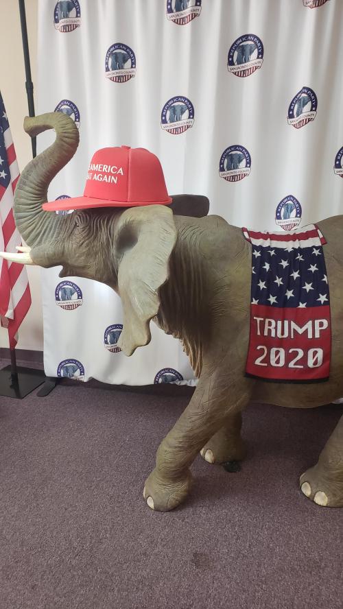 image-05236cf1-3fe2-4736-a0c9-a8642a4bfba48953900784258279378