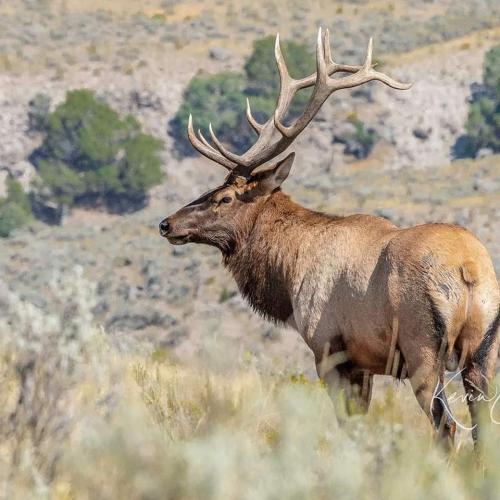 IMG_20190924_155224_015