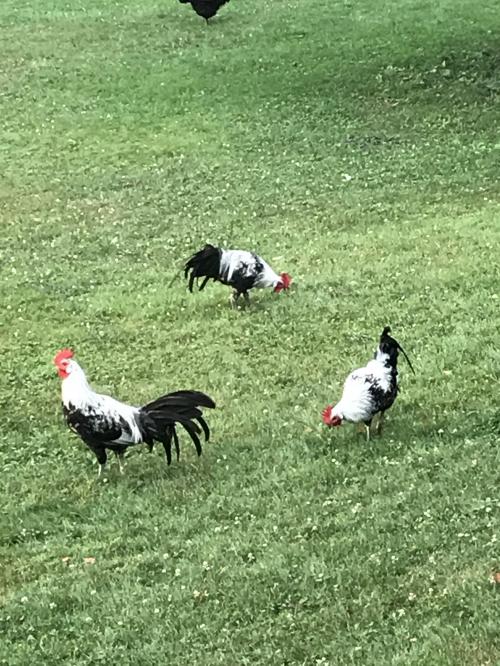 58E31854-BEF3-46EE-97E2-FB97917D2328