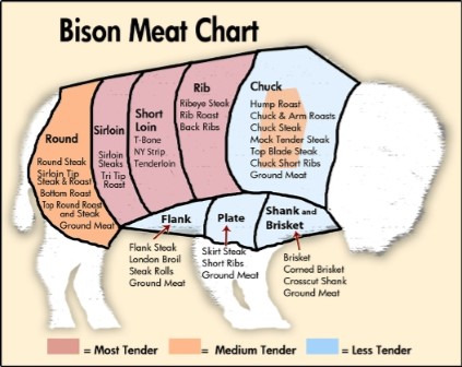 bison_cuts