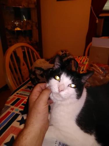 104008573_2884974821613270_540740469179823353_n