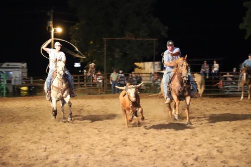 31BB3C50-A3D3-4766-9D3F-784BB5426E48