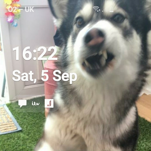 026f6856-634b-4a36-8606-9539a2ba3359