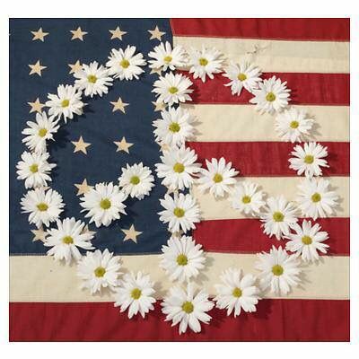 6bbcc3677696af618d2cb4bb017af06b