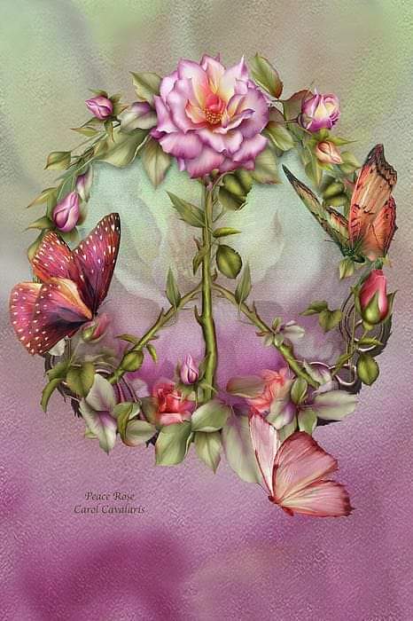 FB_IMG_1584566163625