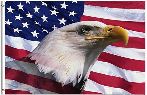 71zvNxMaWWL._AC_SY450_