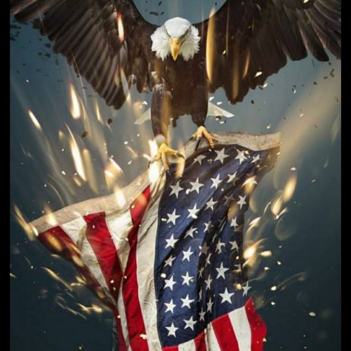 6876eb28-63d8-4505-9a34-3ae2fe7878d3