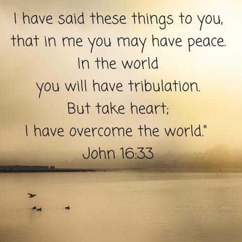 FB_IMG_1598068652663