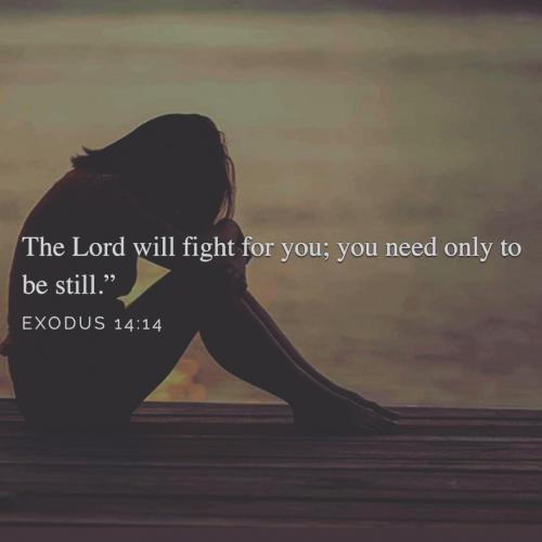 IMG_20190515_065607_809