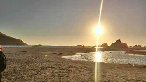 FB_IMG_1599152653366