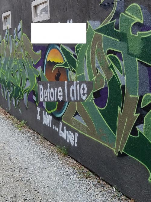 37220793_2115984975140553_2670417197850951680_o