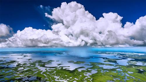 EvergladesShowers_EN-US2388821919_1366x768