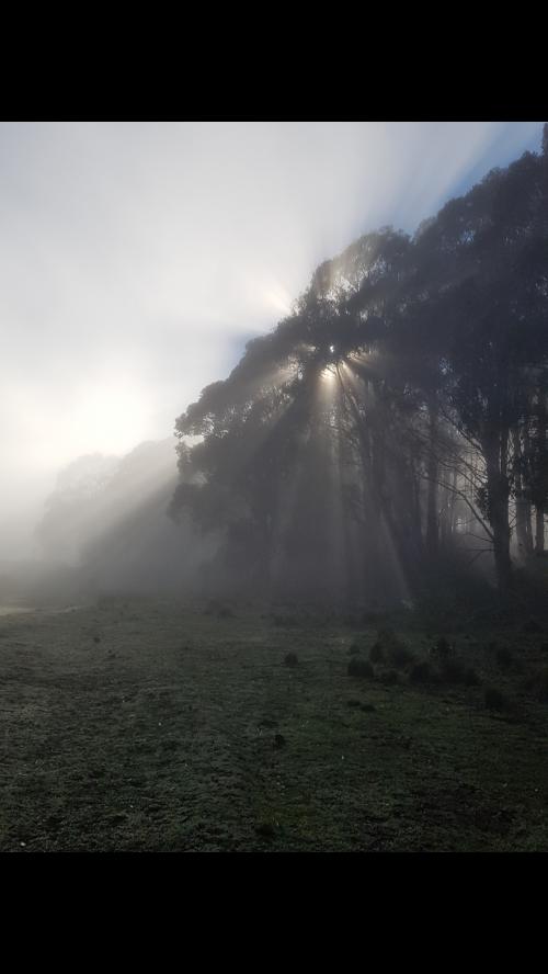 Screenshot_20190407-005837_Gallery