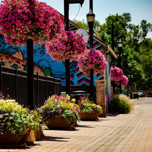 116713462_10163803462940431_6418932544784489859_o