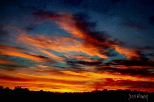 inbound2423652462943269056