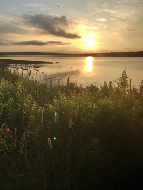 5DE9BC68-461D-43E6-9EBE-5D85CDA30044