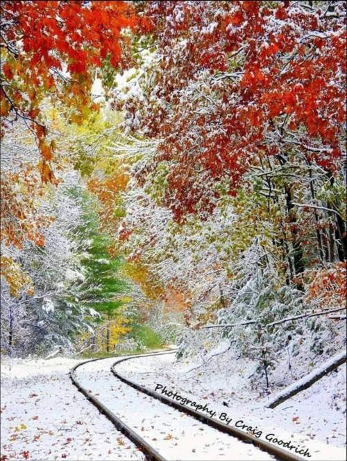 FB_IMG_5623318968618583693