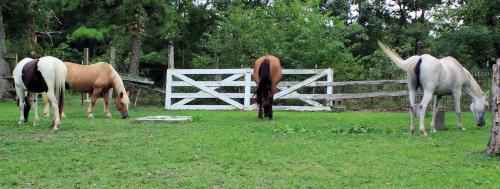 Various pictures 015