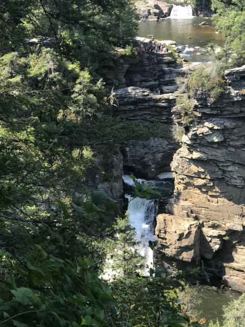 CD014221-8DFB-46E1-A84B-2DFC27A1F919