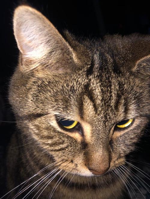 2c56a319-b0f6-415e-afc9-353d2d12ddab