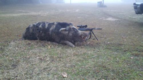 268589_580299128653360_1643938526_n