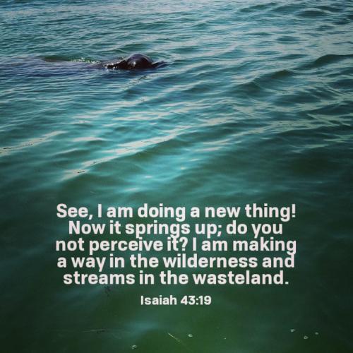 IMG_20200724_062924_786