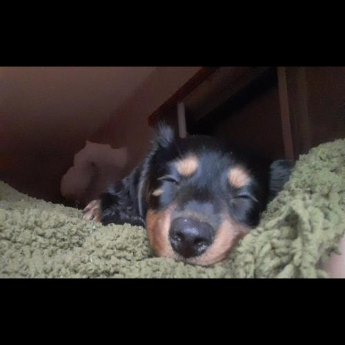 PhotoGrid_1599831581418