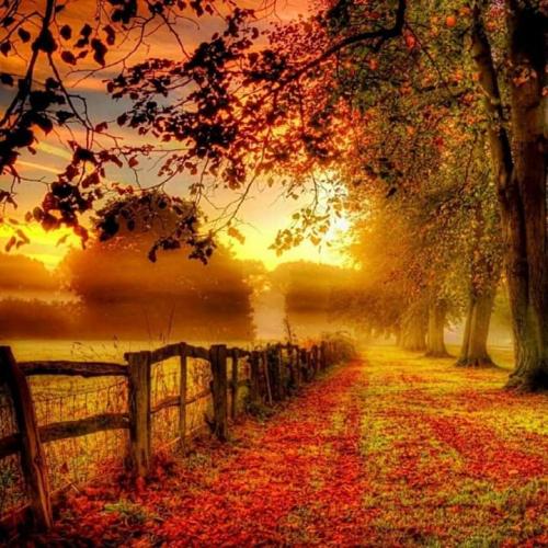 inbound1915122972173168220