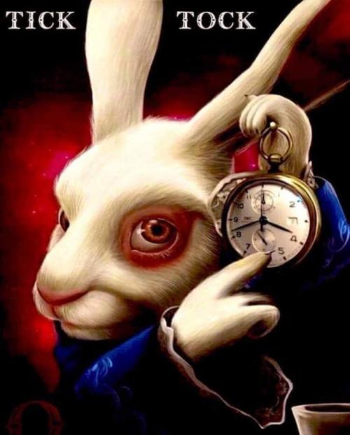 FB_IMG_1599958479103