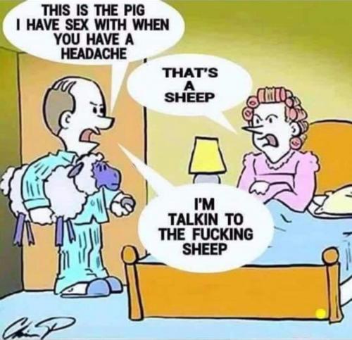 FB_IMG_1600979415552