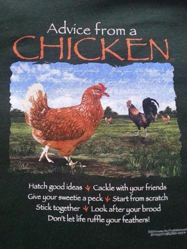 advice from a chicken